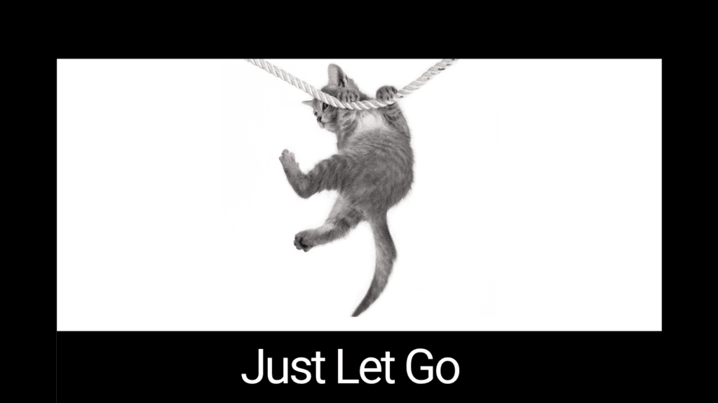 cat hanging from rope motivational poster with just let go below it